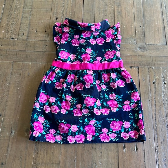 Janie and Jack navy rose dress - Picture 1 of 7